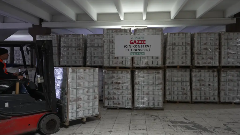 ARALIK 2025 cekilen resimlerden bir kare.