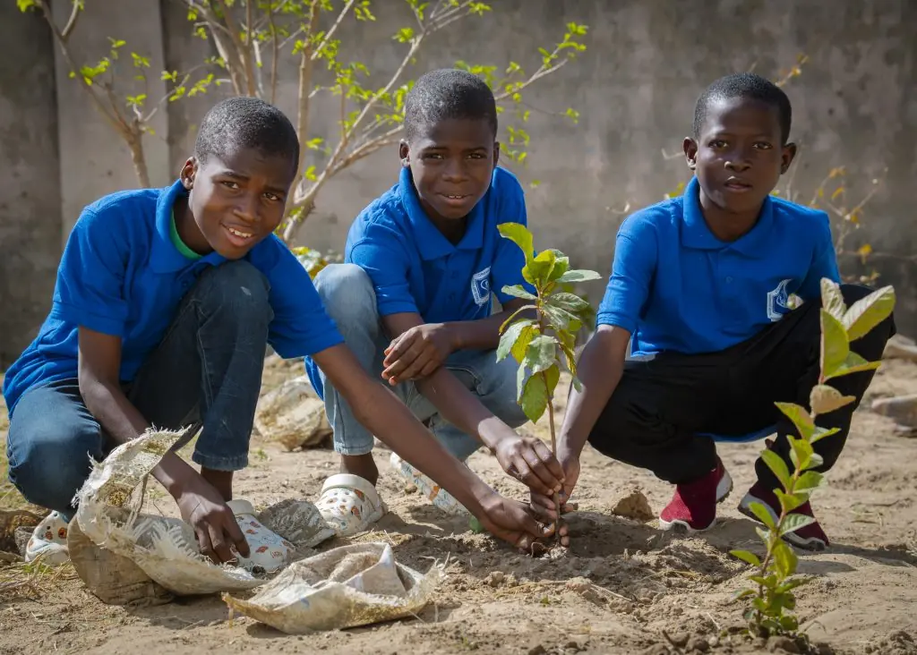 Solidaritet i Nigeria
