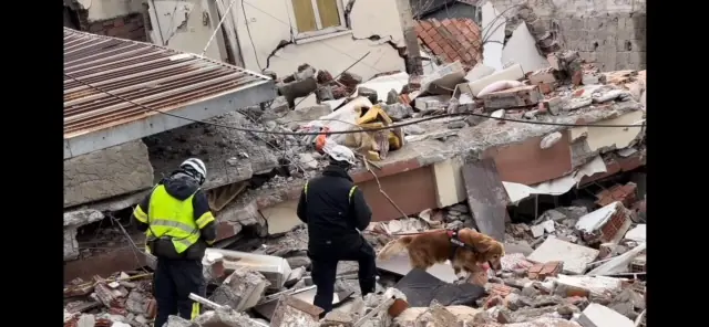 Räddningspersonalen Kiril och Klaes-Ola åkte med sin räddningshund Killian helt frivilligt till Kahramanmaras (Turkiet) och deltog i räddningsarbeten i rasmassorna. Teamet lyckades rädda 18 personer överlevande samt ta ut 4 lik. Vi är glada att ansluta dessa tre i Hasene´s räddningsteam.