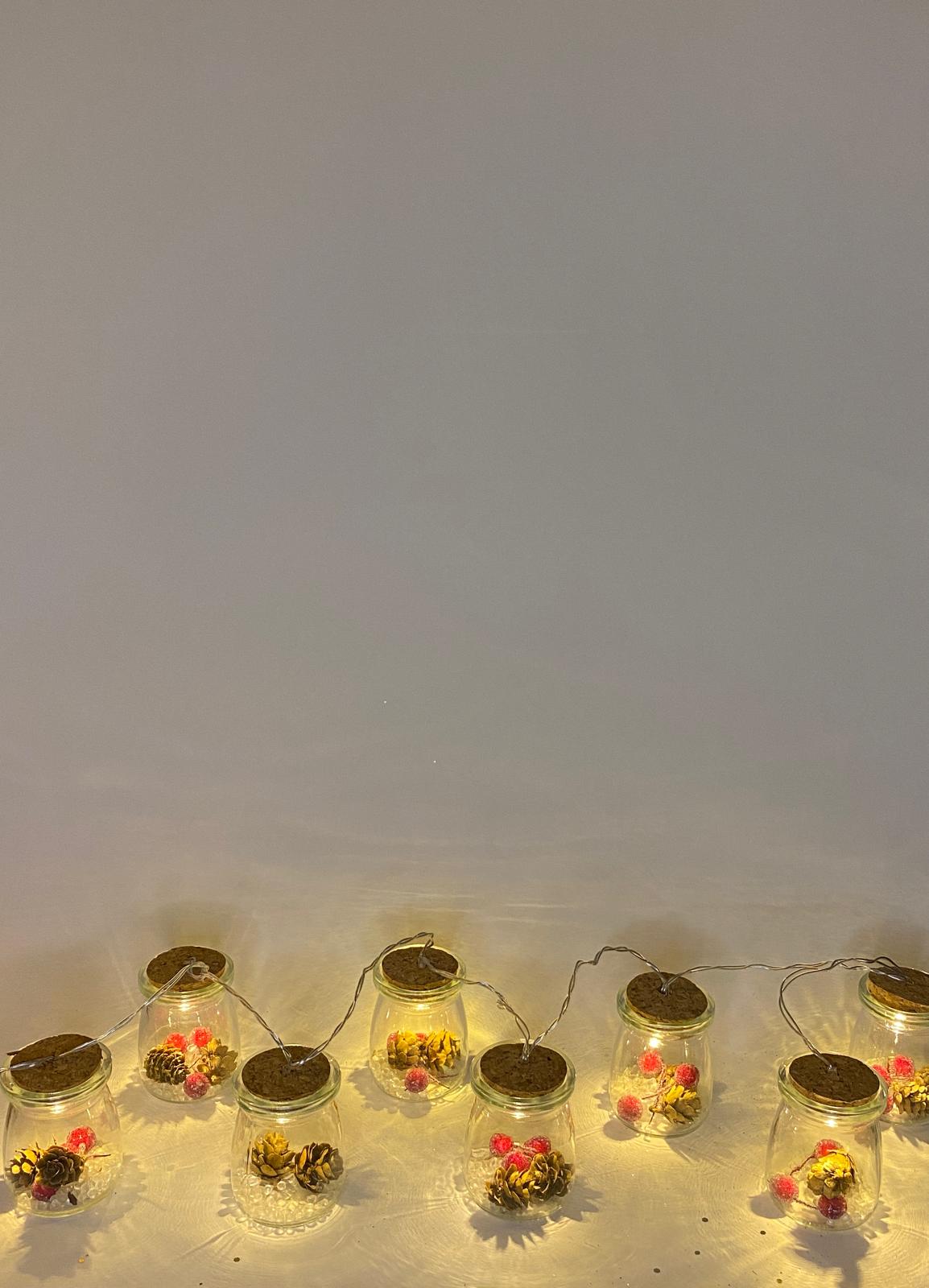 Led Işıklı Cam Fanus  