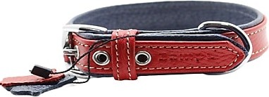 Zampa Yumuşak Dokulu Gerçek Deri Flatiron Köpek Boyun Tasması 2,5x47 cm cm, Kırmızı Lacivert