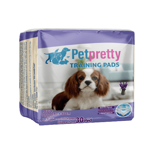 PETPRETTY LAVANTALI 60X90 30LU EĞİTİM PEDİ