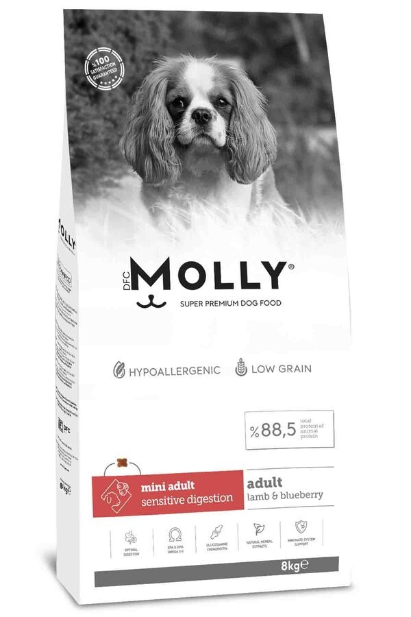 MOLLY MINI KUZULU&YABANMERSİNLİ KÖPEK MAMASI 8KG