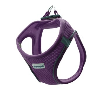 Zampa Air Mesh Kedi Köpek Göğüs Tasma Xl Mor