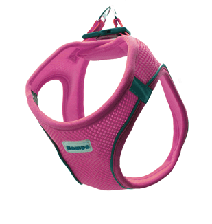 Zampa Air Mesh Kedi Köpek Göğüs Tasma S Pembe