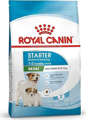 ROYAL CANIN MINI STARTER M&B 4KG