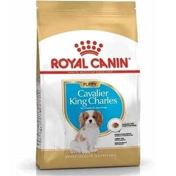 ROYAL CANIN JUNIOR CAVALİER KİNG CHARLES 1,5KG