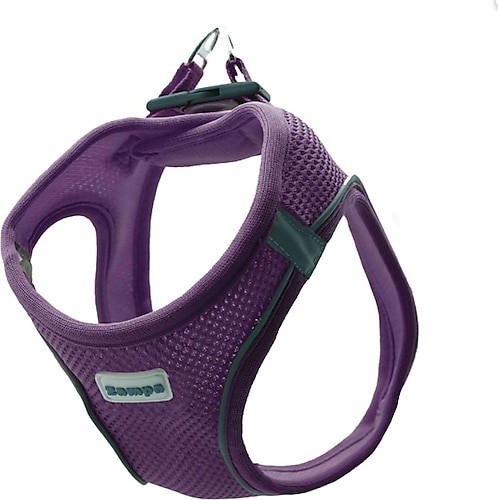 Zampa Air Mesh Kedi Köpek Göğüs Tasma L Mor