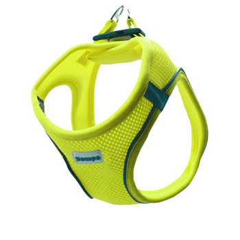 Zampa Air Mesh Kedi Köpek Göğüs Tasma 2xs Neon