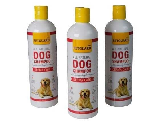 PETGUARD DOG SHAMPOO DERMACARE KÖPEK ŞAMPUANI
