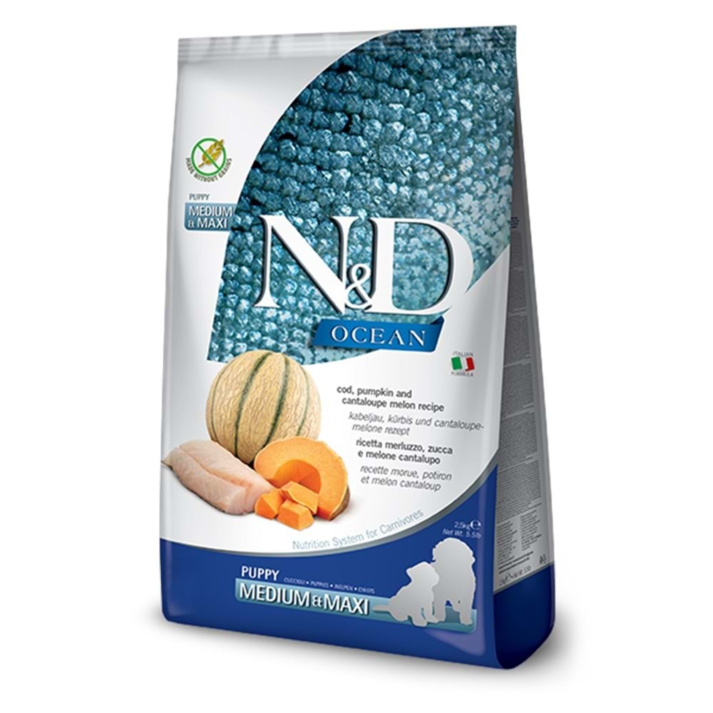 N&D OCEAN BK MORİNA KAVUN PUPPY MED-MAX 12KG