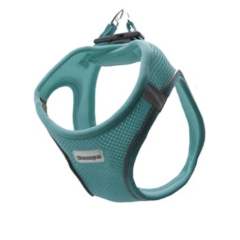 Zampa Air Mesh Kedi Köpek Göğüs Tasma Xl Turkuaz