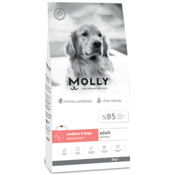 MOLLY MEDİUM&LARGE SOMONLU KÖPEK MAMASI 2KG