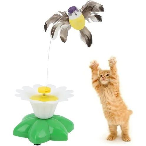 KEDİ OYUNU DÖNEN KELEBEK-KUŞ