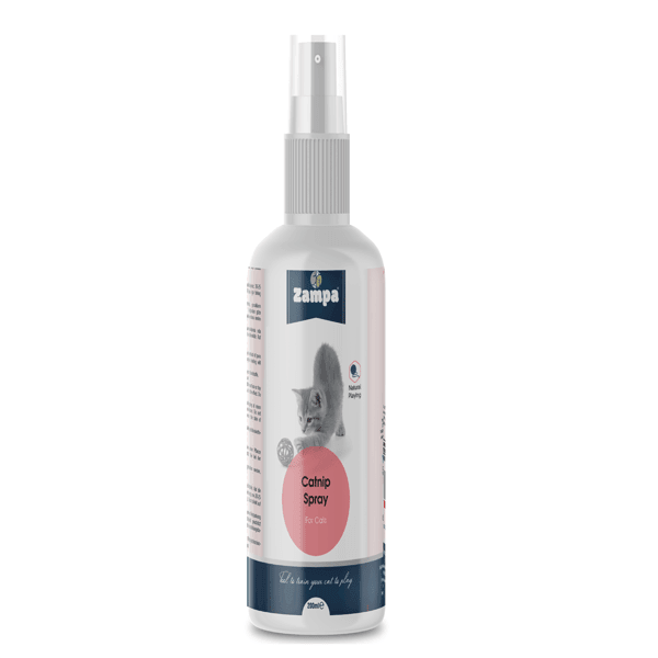 Zampa Kediotu Spray Catnip 200 ml