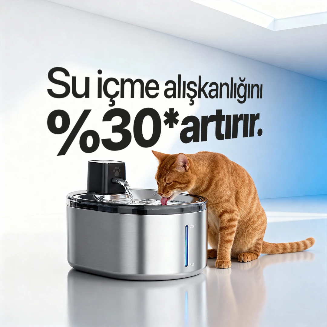 Ki-Drinker 2 Akıllı Su Pınarı