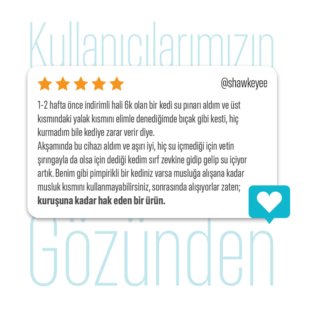 Ki-Drinker 2 Akıllı Su Pınarı