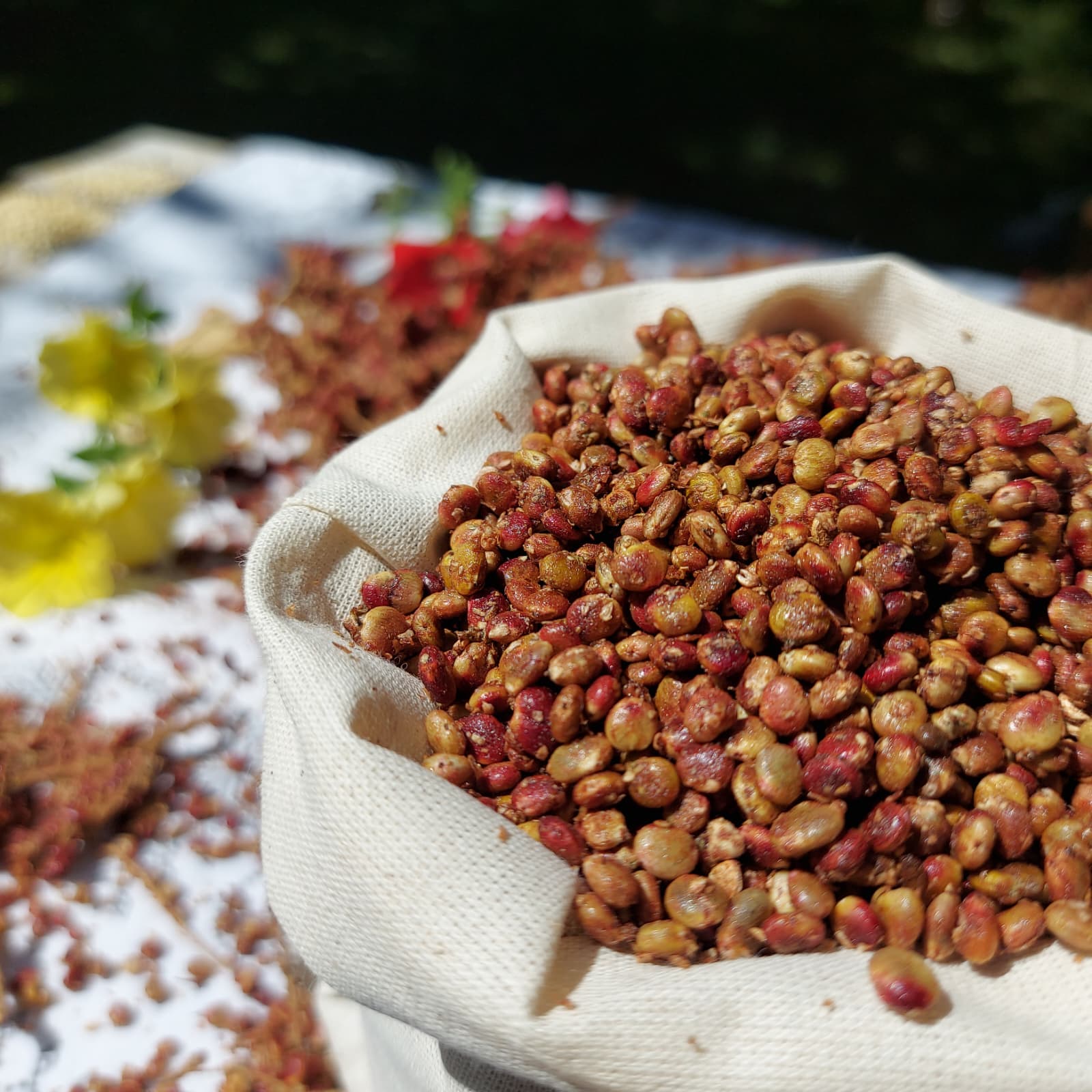 Tane Sumak (500gr)