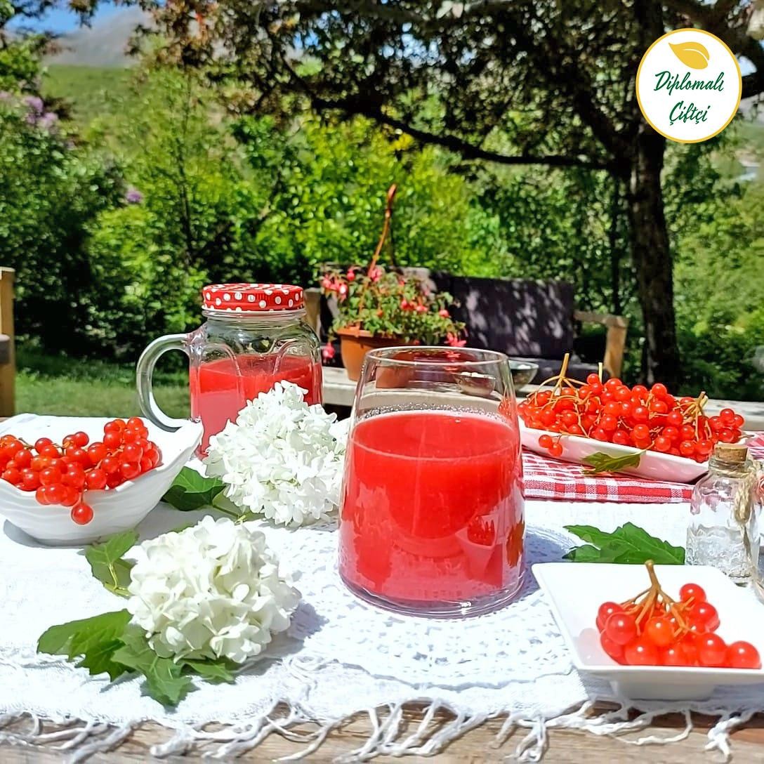 Saf Gilaburu Suyu Taze Sıkılmış