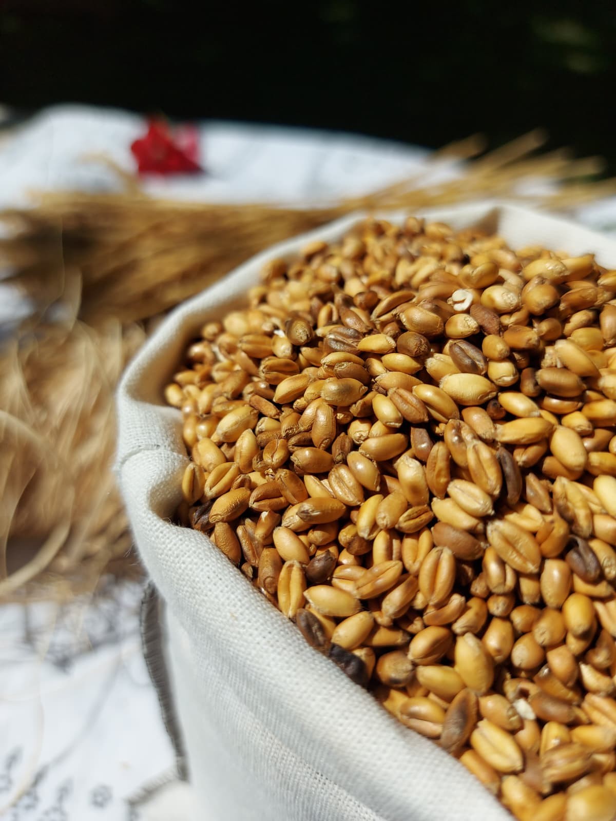 Ata Tohumu Zerun Buğday Kavurgası (1kg)
