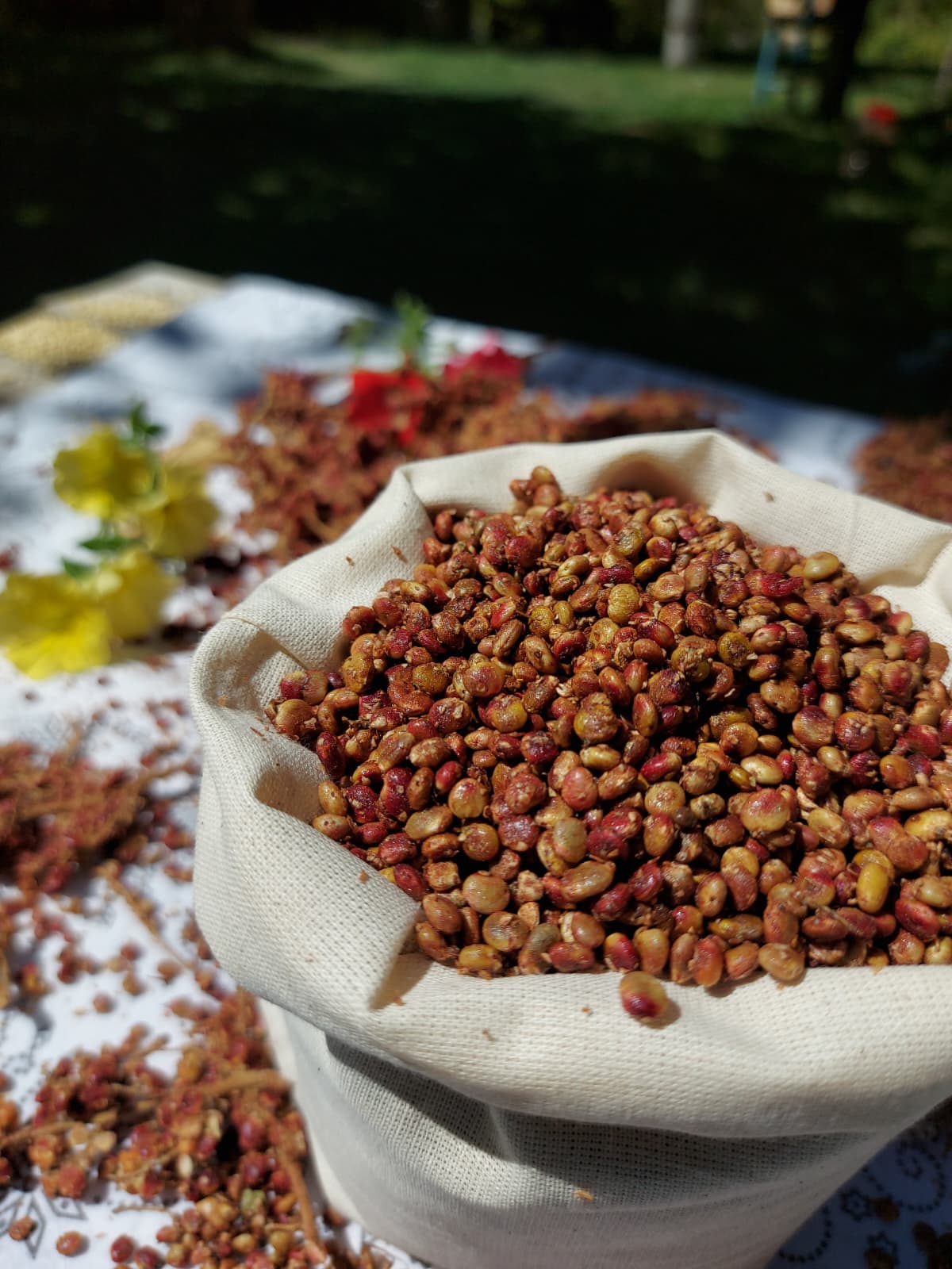Tane Sumak (500gr)