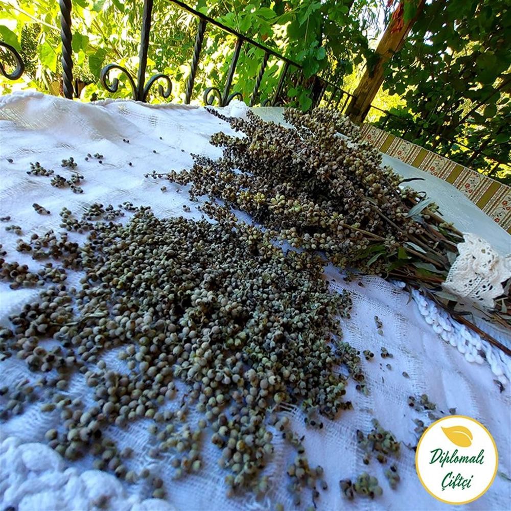 Hayıt (Kadın Otu) Tohumu - (250gr)
