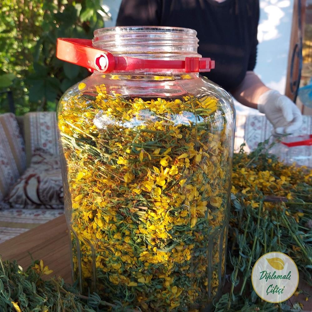 Sarı Kantaron Yağı (Zeytinyağlı)