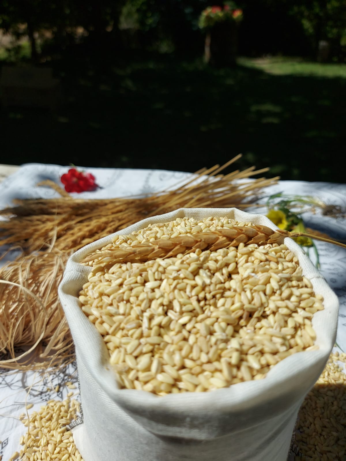 Ata tohum Zerun Dövme, Yarma, Aşurelik Buğday (2 Kg)