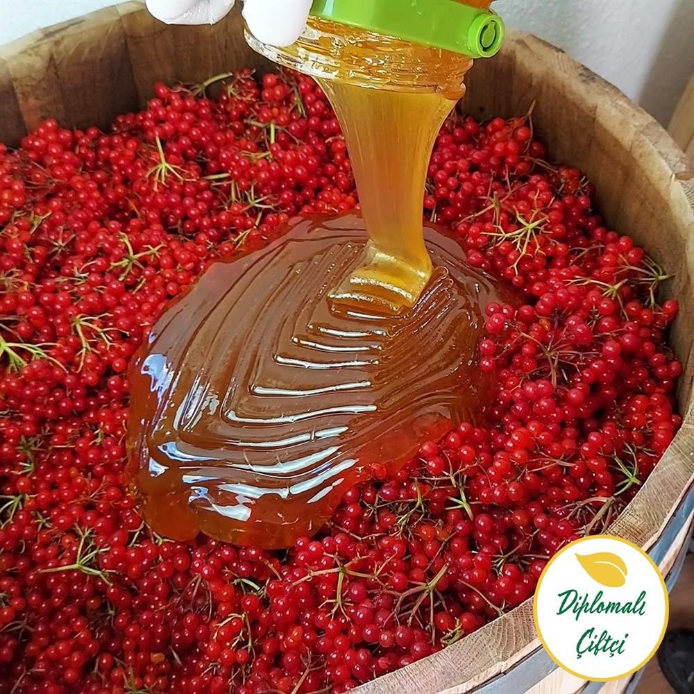 Gilaburu Sirkesi - (500ml)