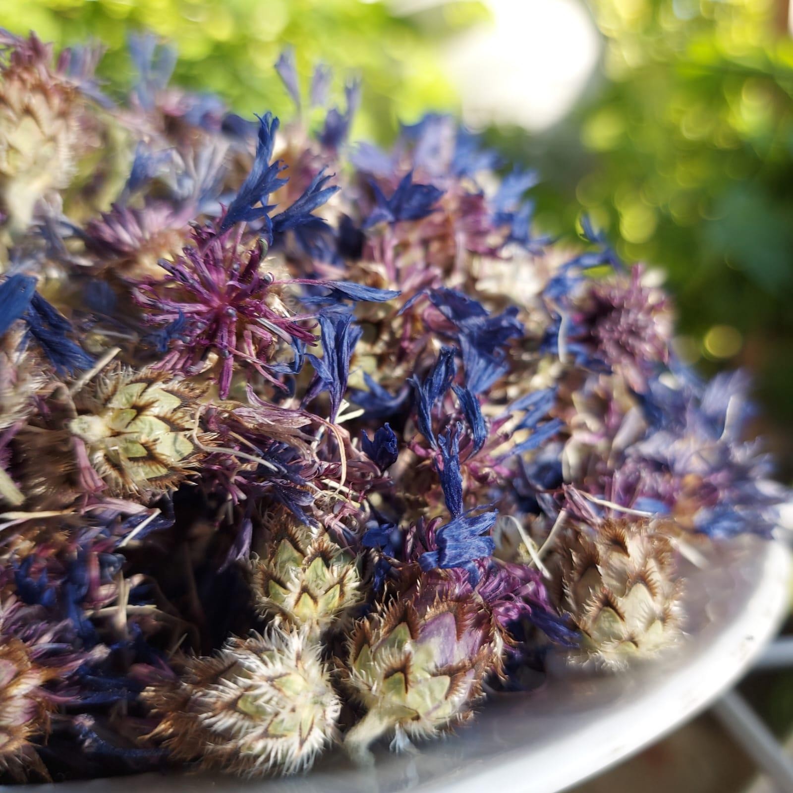 Kuru Çaylık Peygamber Çiçeği (Mavi Kantaron) (150gr)