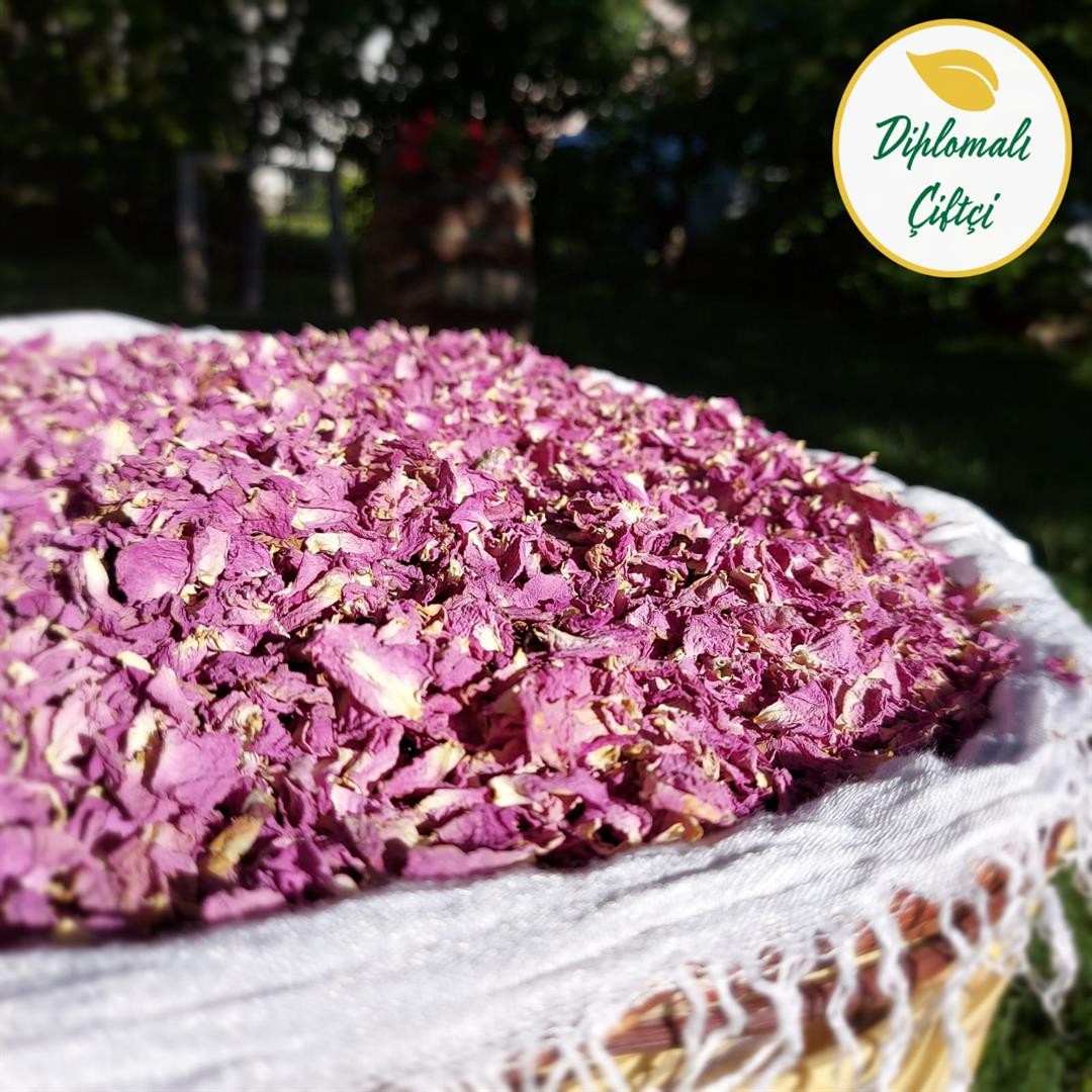Kurutulmuş Isparta Gül Yaprağı - Gül Çayı