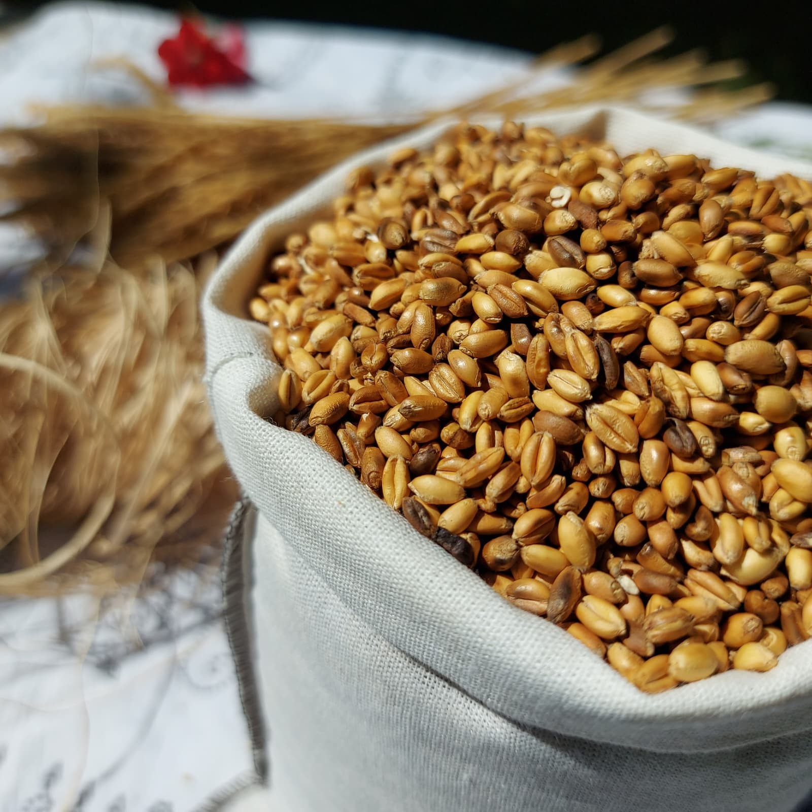 Ata Tohumu Zerun Buğday Kavurgası (1kg)