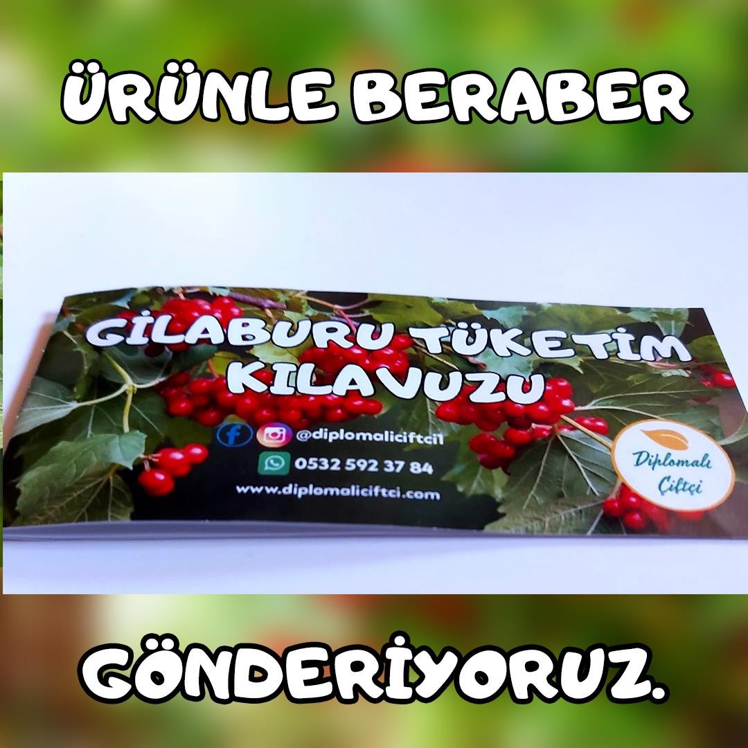 Gilaburu Meyvesi (5kg)