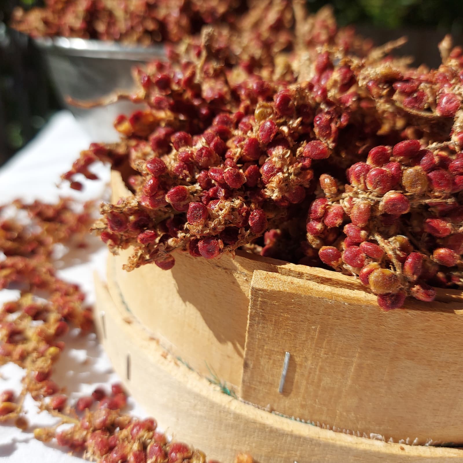 Tane Sumak (500gr)