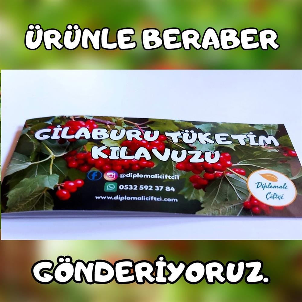 Gilaburu Meyvesi (2.5 Kg)