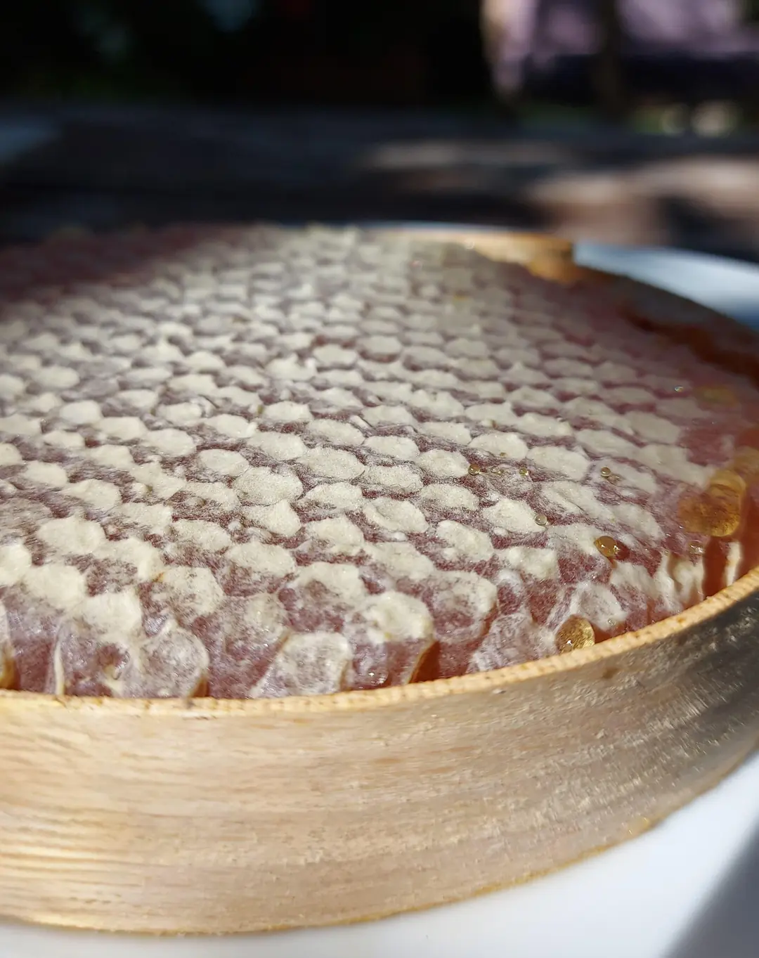 Karakovan Yayla Çiçek Balı Analiz Raporlu, Prolin Değeri Yüksek (1 Kg)