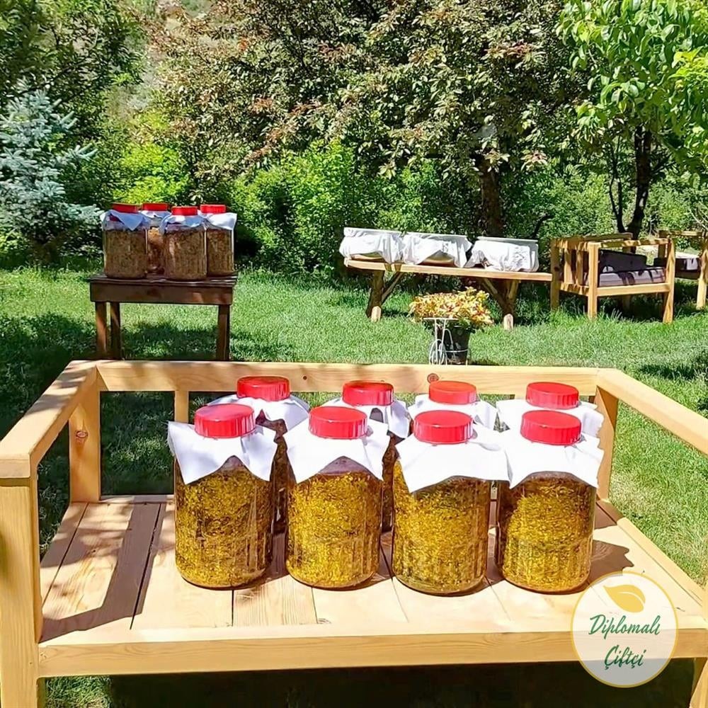 Sarı Kantaron Yağı (Zeytinyağlı)