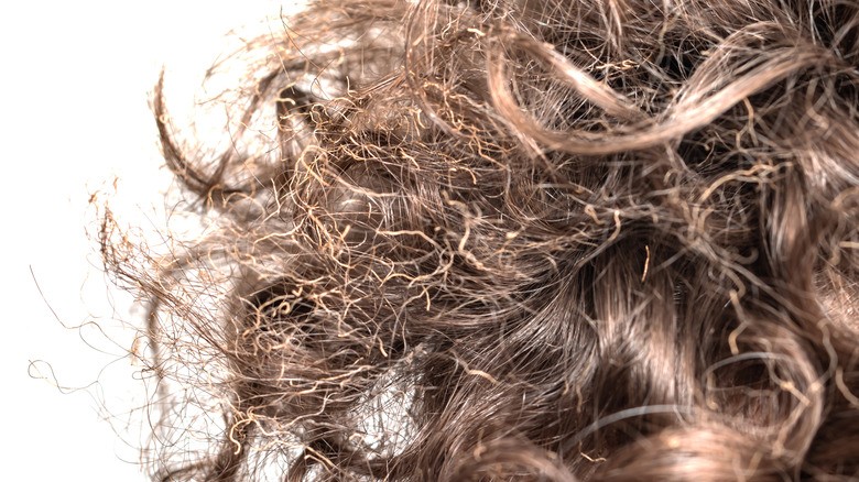 keratin, keratin nedir, keratin bakım, yanmış saç, yanan saç, yanan saç nedir, yanan saça bakım, yanmış saça bakım, yıpranan saç, yıpranmış saça bakım, evde yanan saça bakım, yanan saç bakımı, yanan saç düzelir mi, açıcıdan yanmış saç, oryalden yanmış saç, fönden yanmış saç, ısıdan yanmış saç, düzleştiriciden yanmış saç, ombreden yanmış saç, yanan saç görüntüsü, yıpranmış saça ne yapılır, yanan saça mucize, en iyi yanan saça bakım, yanan saça tedavi, yanan saça ne yapılmalı,  yanan saça çözüm,