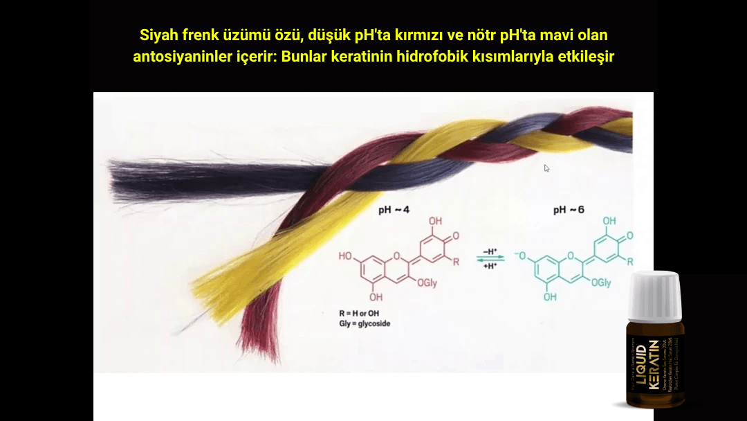 keratin protein nedir, keratin, keratin nedir, saç keratin, gerçek keratin, saf keratin, doğal keratin, sıvı keratin, protein saç bakım,