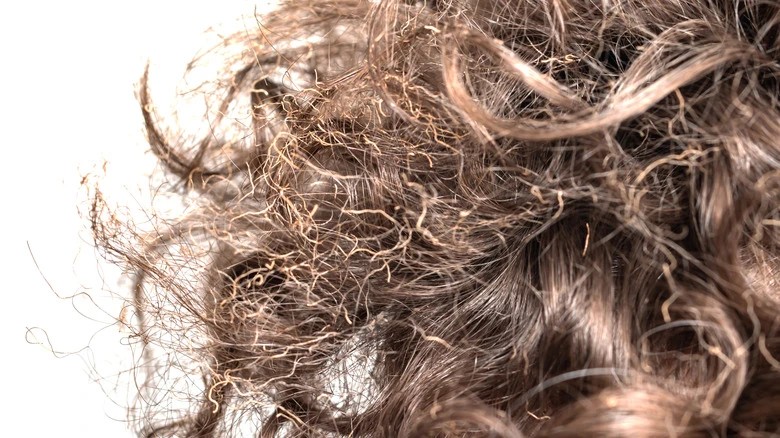 keratin, keratin nedir, keratin bakım, yanmış saç, yanan saç, yanan saç görüntüsü, yanmış saç görüntüsü, yanan saç nedir, yanan saça bakım, yanmış saça bakım, yıpranan saç, yıpranmış saça bakım, evde yanan saça bakım, yanan saç bakımı, yanan saç düzelir mi, açıcıdan yanmış saç, oryalden yanmış saç, fönden yanmış saç, ısıdan yanmış saç, düzleştiriciden yanmış saç, ombreden yanmış saç, yıpranmış saça ne yapılır, yanan saça mucize, en iyi yanan saça bakım, yanan saça tedavi, yanan saça ne yapılmalı, yanan saça çözüm, yanan saça bakım,