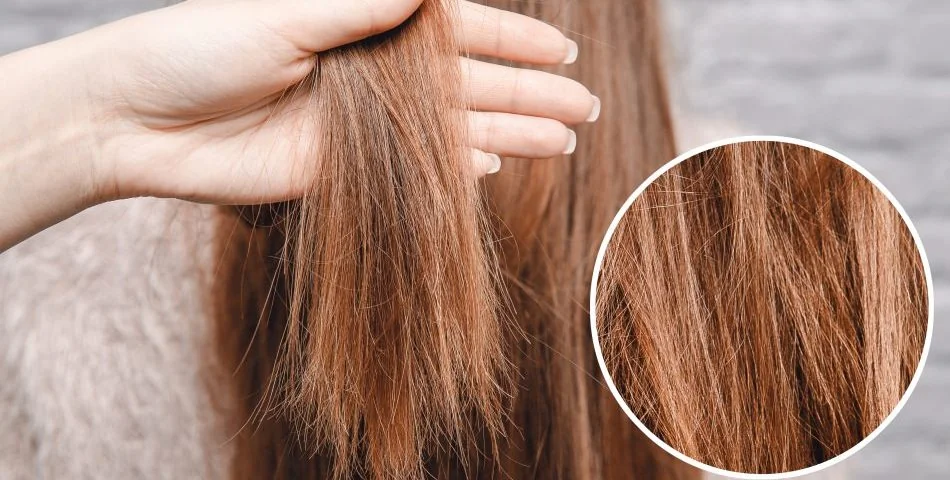 Saç Onarıcı keratin bakım, onarıcı şampuan, onarıcı saç kremi, onarıcı maske, onarıcı keratin kremi, onarıcı saç serumu, onarıcı bakım, saç onarıcı bakım, evde saç onarıcı maske, saç maskesi evde onarıcı, onarıcı keratin protein, onarıcı saf keratin bakım, onarıcı saç maskesi doğal, onarıcı bakım doğal, en iyi onarıcı protein bakım, pantene onarıcı saç kremi, saç onarıcı yağlar, saç onarıcı şampuanlar, saç onarıcı maske, saç onarıcı ürünler, saç onarıcı kremler, en iyi saç onarıcı ürünler, saç onarıcı serum, avon saç onarıcı ürünler, saç onarıcı botox serum, olaplex saç onarıcı, onarıcı bakım kremi saç, onarıcı saç bakım yağı, onarıcı keratin bakım seti, kuaförde saç bakım onarım ürünleri fiyatları, Yves Rocher Reperation nasıl kullanılır, yves rocher yıpranmış saçlar için onarıcı repair, anında saç onarıcı, hızlı saç onarıcı, boyalı ve yıpranmış saçlar için maske, yanan saçlar için maske, yanan saçlar için onarıcı bakım, yanan saçlar için en iyi bakım, yıpranmış saç nasıl onarılır, yıpranan saçlar nasıl düzelir, kopan saç onarımı, kırık saç onarımı, saç kırıkları nasıl onarılır, kırılan saçlara onarıcı krem,