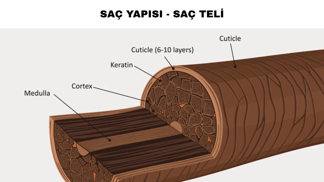 likit keratin, protein nedir, keratin nedir, saç keratin, gerçek keratin, saf keratin, doğal keratin, sıvı keratin, protein saç bakım, keratin bakım, keratin yapısı, 