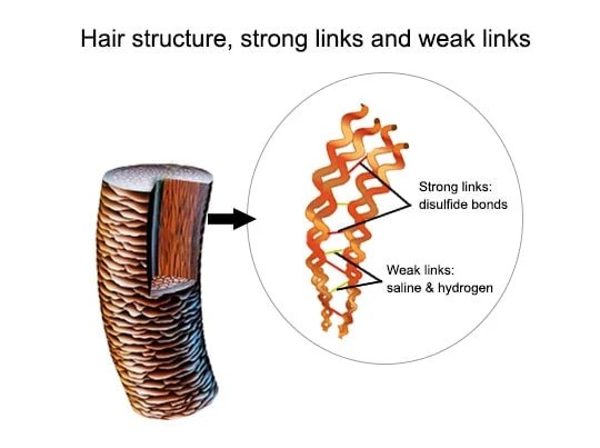 keratin protein, keratin, keratin nedir, saç keratin, gerçek keratin, saf keratin, doğal keratin, sıvı keratin,