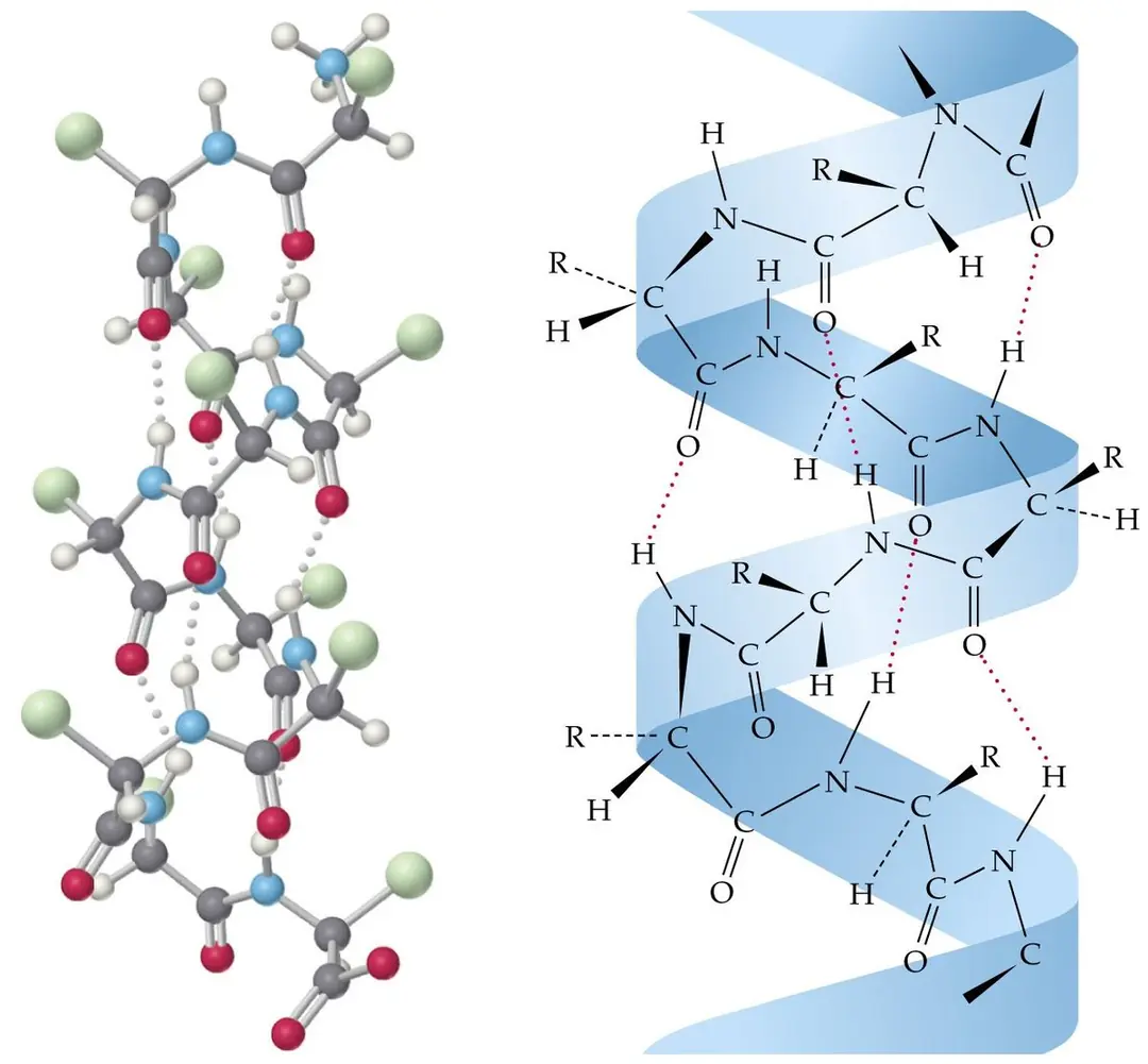 keratin, keratin proteini, saç keratin protein, protein keratin, keratin bakım, keratin nedir, keratin ne işe yarar, keratin protein nerde bulunur, en iyi keratin, saf keratin, sıvı keratin, onarıcı keratin, yanmış saç, yıpranmış saç, kırık saç, yanan saç, keratin seti, keratin protein nedir, keratin protein nasıl kullanılır, keratin protein tozu, keratin protein faydaları, keratin protein zararları, keratin protein fiyatı,