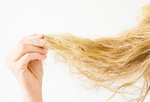 boyadan yanan saç görüntüsü, açıcıdan yanan saç görüntüsü, brezilya fönünden yanan saç görüntüsü, fönden yanan saç görüntüsü, düzleştiriciden yanan saç görüntüsü, yanan saç nasıl olur, <br><br>