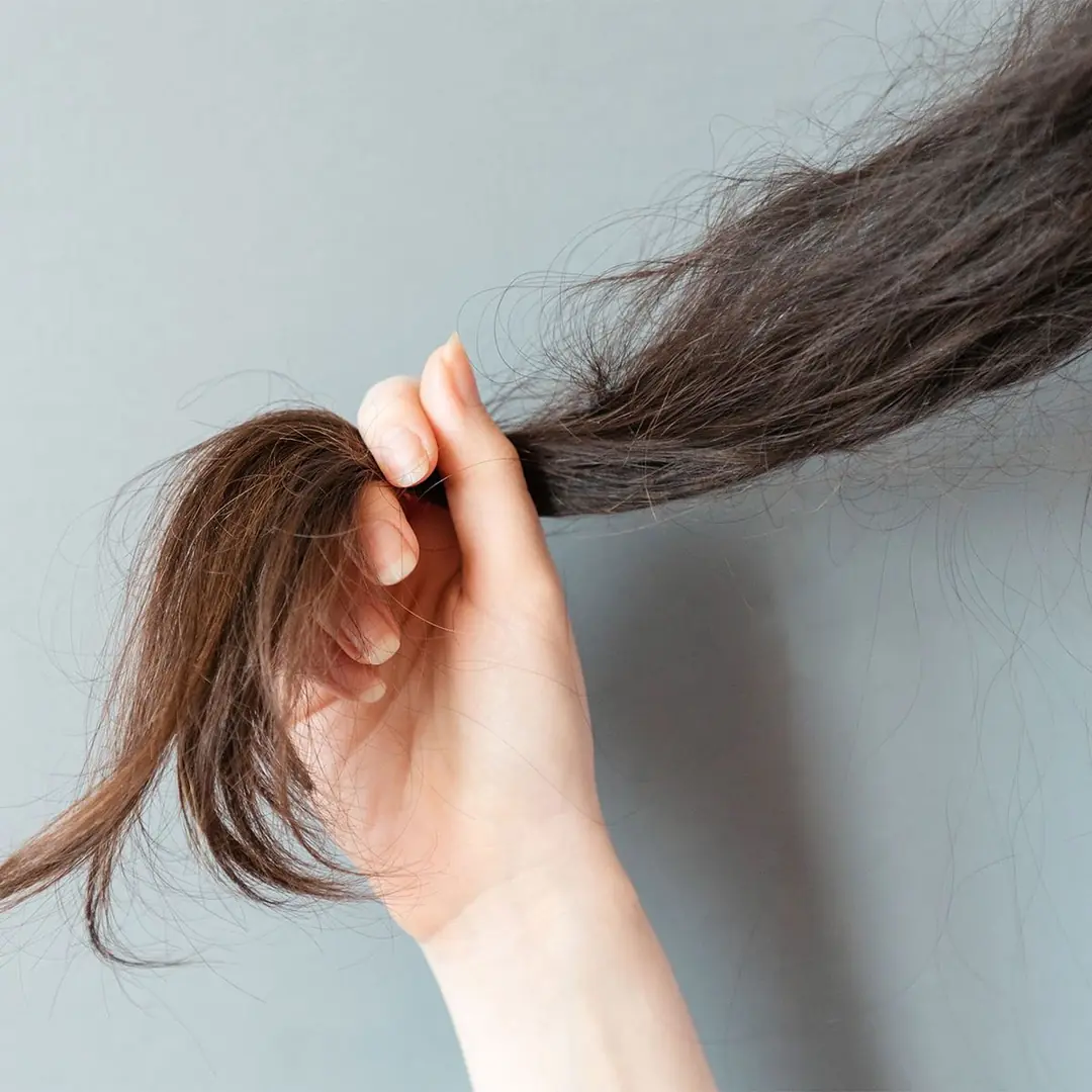 Kopan saç, Yanan saç görüntüsü evde, yanan saç nasıl olur, esneyen saç, uzayan saç, hamur saç, tiftik saç, sünger saç, lastik gibi uzayan saç, saç esnemesi, yanmış saç görüntüsü,&nbsp;