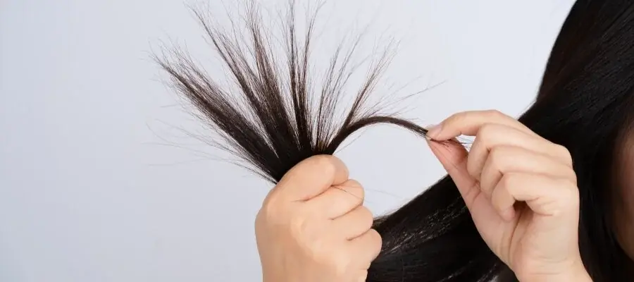 &nbsp; saç kırıklarına ne iyi gelir, saç kırıkları, kırık saç bakını, keratin, keratin nedir, keratin ne işe yarar, keratin protein, protein keratin, saç keratini, saç proteini, keratin saç, doğal keratin, saf keratin, sıvı keratin, moleküler keratin, gerçek keratin, patentli keratin, keratin bakım, keratin bakım nedir, keratin zararları nedir, yıpranan saça keratin, yanan saça keratin, kopan saça keratin, kırık saça keratin, en iyi keratin, keratin fiyat, keratin bakımı,