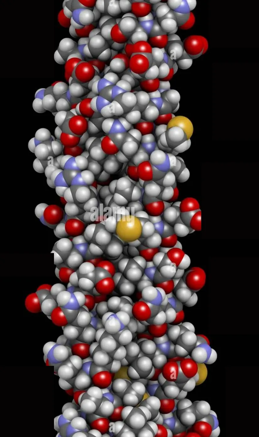 saç protein, keratin protein, keratin protein nedir, protein keratin ne işe yarar, protein nedir, keratin protein nedir, saç keratin proteinin saça faydası, gerçek keratin proteini, saf keratin, doğal keratin, sıvı keratin, protein saç bakım, protein keratin bakım, protein keratin yapısı, saça protein, saç protein kullanımı, keratin protein tozu, keratin protein zararlı mı, keratin protein tozu kullanımı, keratin protein fiyat,