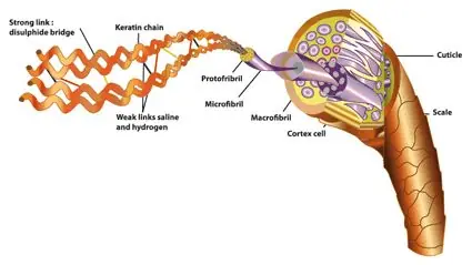 keratin, keratin nedir, keratin ne işe yarar, keratin protein, protein keratin, saç keratini, saç proteini, keratin saç, doğal keratin, saf keratin, sıvı keratin, moleküler keratin, gerçek keratin, patentli keratin, keratin bakım, keratin bakım nedir, keratin zararları nedir, yıpranan saça keratin, yanan saça keratin, kopan saça keratin, kırık saça keratin, en iyi keratin, keratin fiyat, keratin bakımı,&nbsp;
