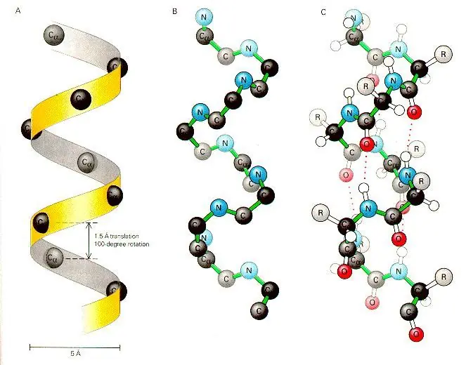 keratin, keratin nedir, keratin ne işe yarar, keratin protein, protein keratin, saç keratini, saç proteini, keratin saç, doğal keratin, saf keratin, sıvı keratin, moleküler keratin, gerçek keratin, patentli keratin, evde keratin bakım, keratin bakım nedir, keratin zararları nedir, yıpranan saça keratin, yanan saça keratin, kopan saça keratin, kırık saça keratin, en iyi keratin, keratin fiyat, keratin bakımı,&nbsp;